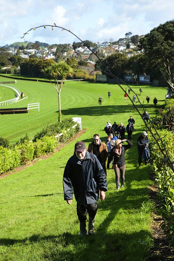 Proposed Residential Development For The Hill, Ellerslie