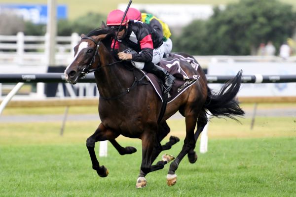 Top mare’s trainer oozing with confidence