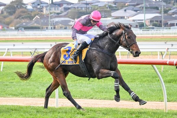 Grand Annual hero Gold Medals retired