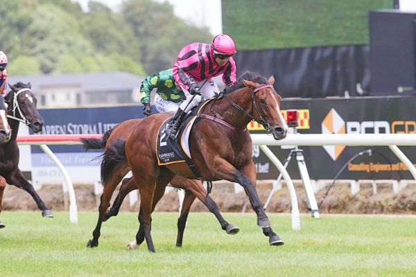 Imelda Mary to be offered on Gavelhouse Plus