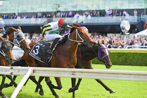 Kiwis land Provincial Championships Final