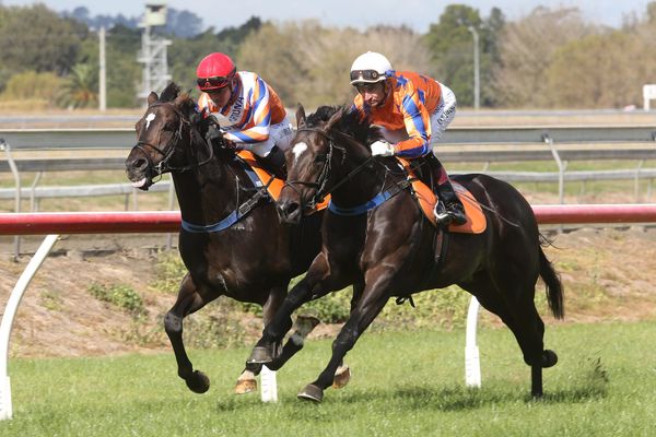 Te Akau eyeing Queensland riches