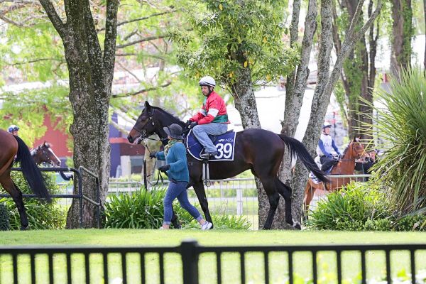 Dunlop looking on the Brightside ahead of Day 2 at The Championships