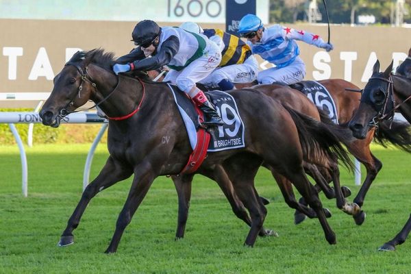 Hong Kong hopes for Mr Brightside