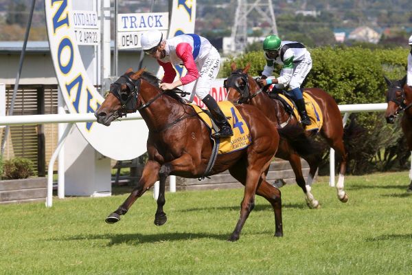 Mr Maestro a highlight in mixed day for Baker-Forsman