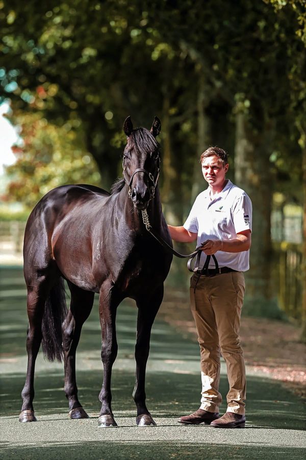 Waikato Stud announces 2022 stallion roster