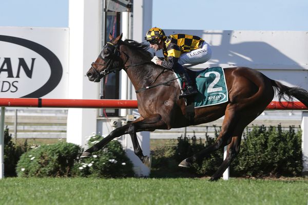 Pinarello dominant in Championship Stakes