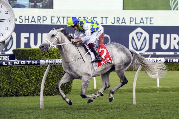 Another Group Three for Polly Grey