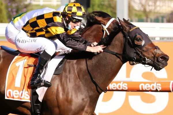 Probabeel’s date with Almanzor locked in