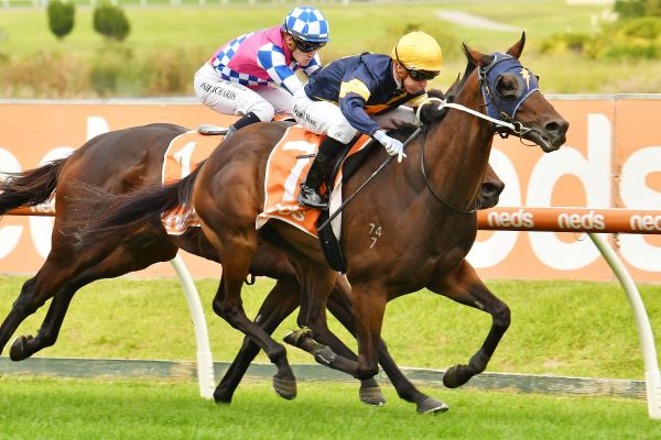 Tavistock 4YO strikes at Caulfield