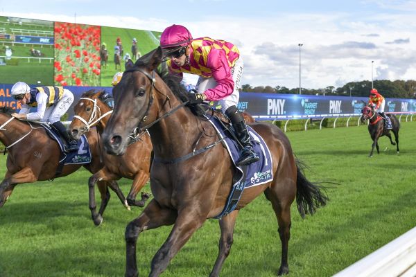 Rangi Toa wins Australian debut