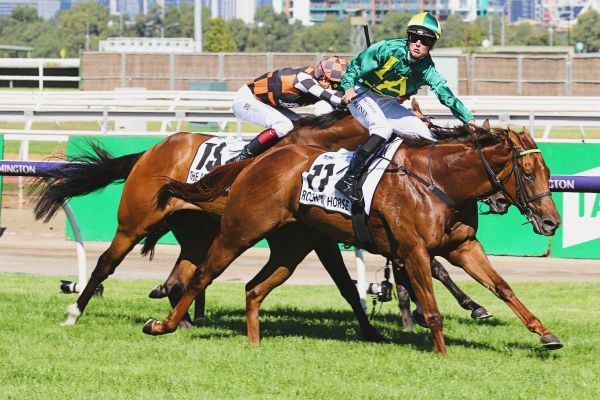 Fee rise for Little Avondale’s Per Incanto