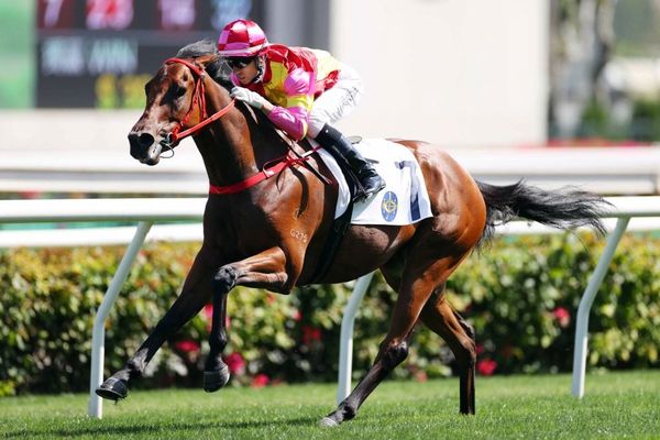 Sakewin in stunning debut