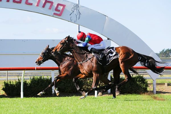 Group One aspirations with Sharp ‘N’ Smart