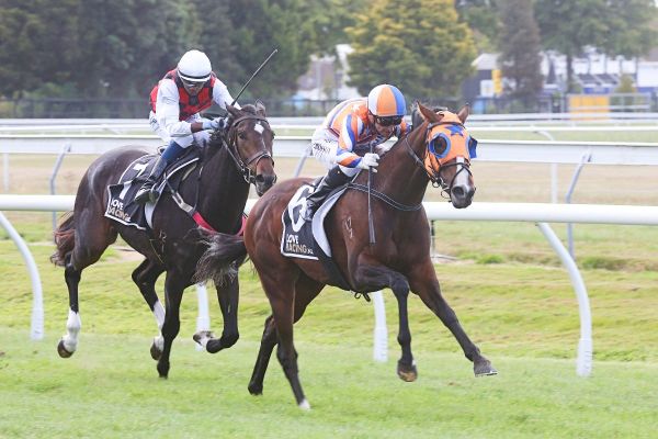 Soprano Supreme on possible black type mission