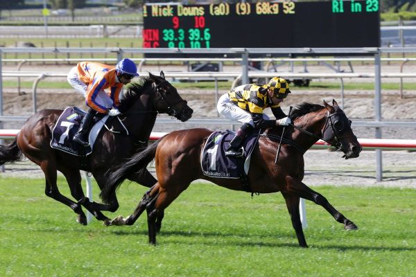 Sword Of State to Queensland