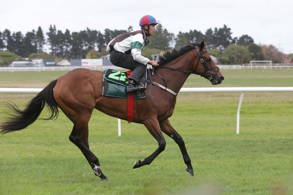 Pike amassing Queensland raiding party