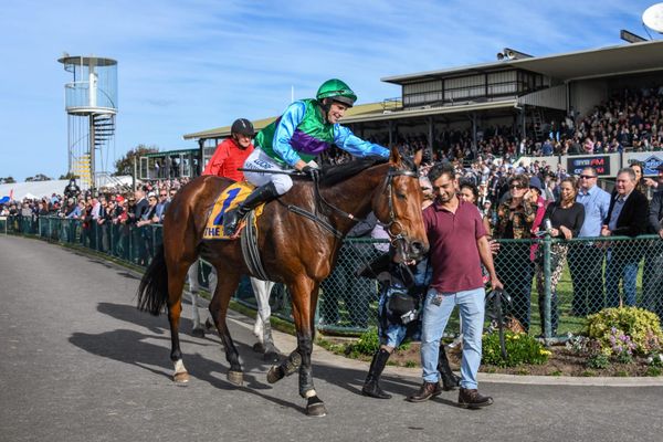 Time called on outstanding jumper Zed Em