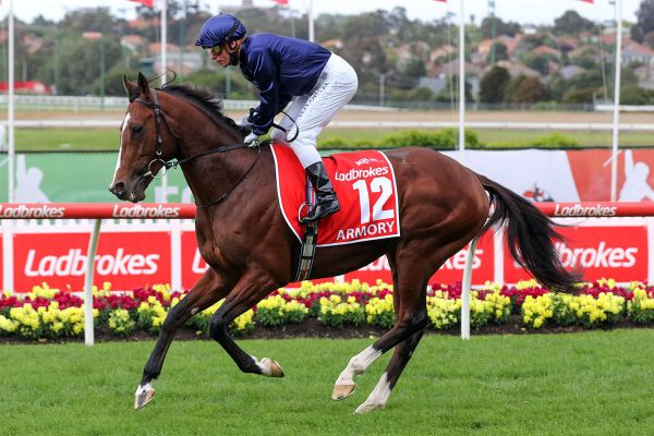 Group One performer new to Mapperley Stud