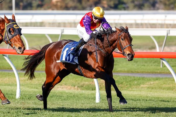Valuable Australian Group win for Belle Plaisir