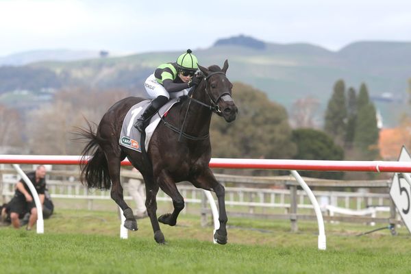 Big Mike gearing up for Cup tilt