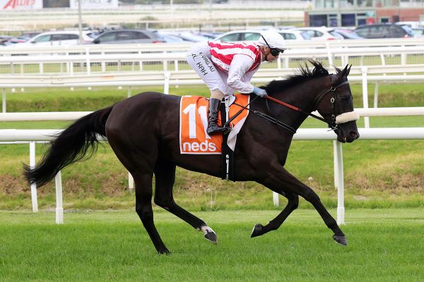 Butter Chicken resumes at Flemington