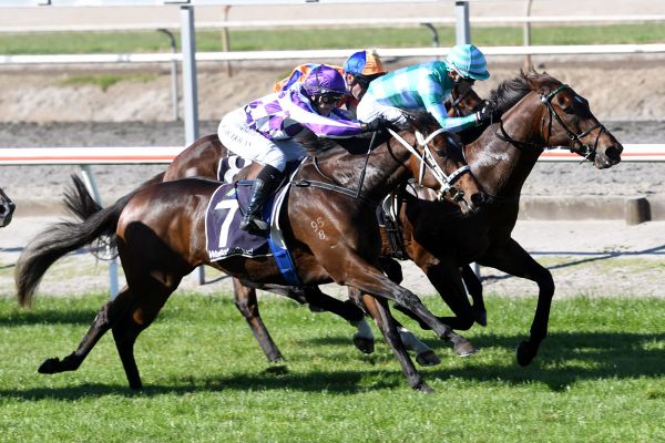 Casino Princess confirms potential with stunning Matamata victory