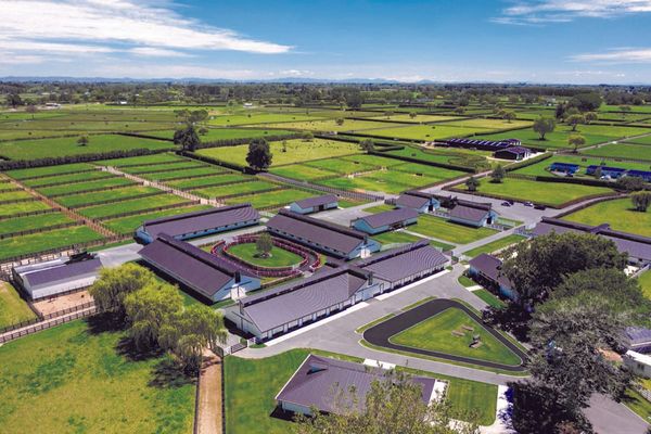 Cambridge Stud Gavelhouse Plus Sale Live