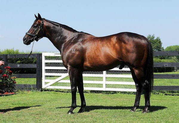 Status quo for The Oaks Stud