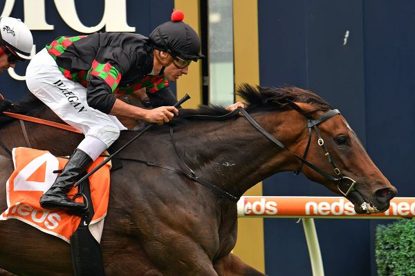 Richardson pleased to see old mate back in town