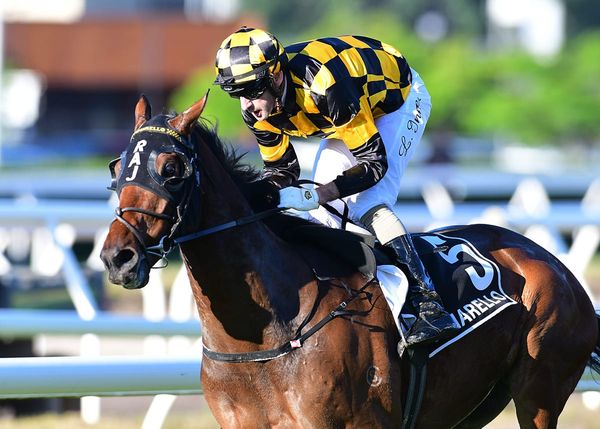 Pinarello triumphs in Queensland Derby