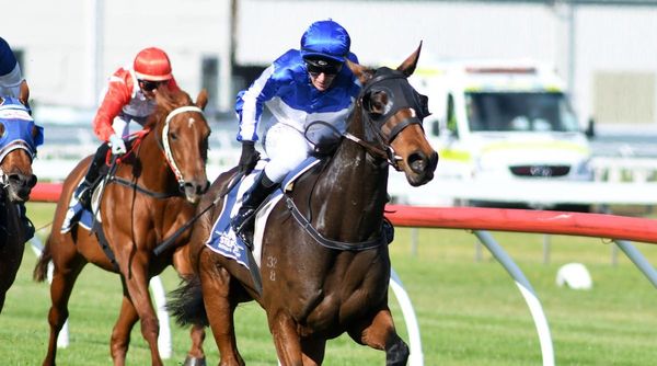 Winning double for Newman at Wanganui