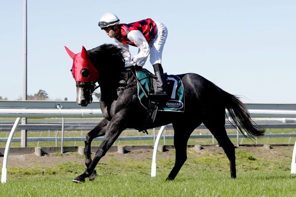 Australian campaign for Farrenc