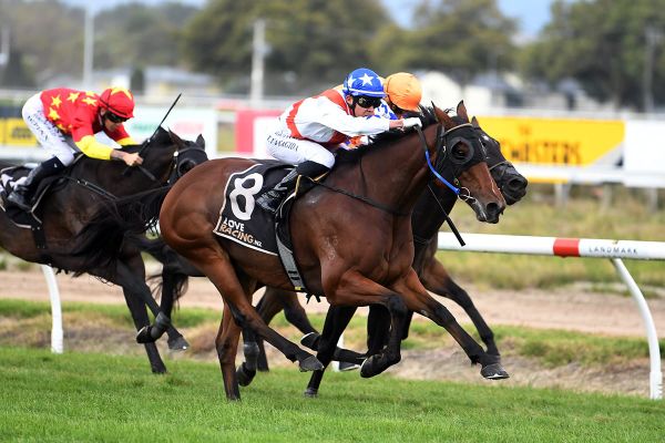 Germanicus set to bounce back at Te Rapa
