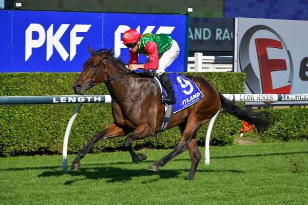 Satono Aladdin filly stars on debut