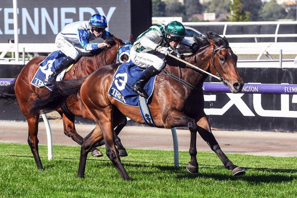 Natural Mystic continues Tarzino run