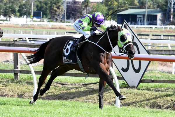 Plainer sailing for stakes contender