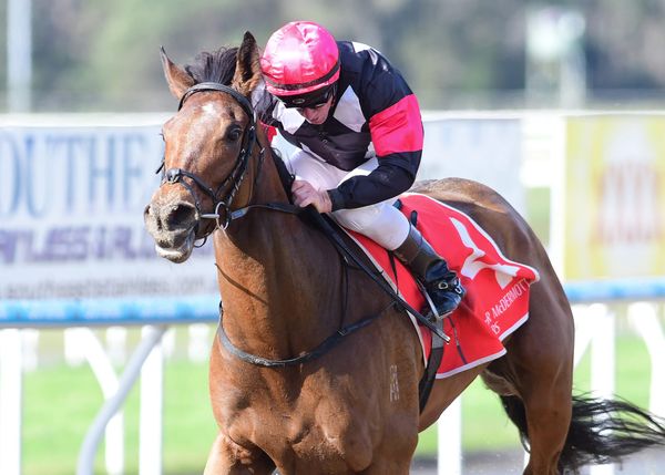 Kiwis on the board at Sunshine Coast