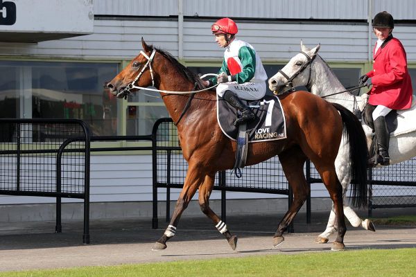 EXCITING NOMINATIONS FOR ITM/GIB WINTER CHAMPIONSHIPS