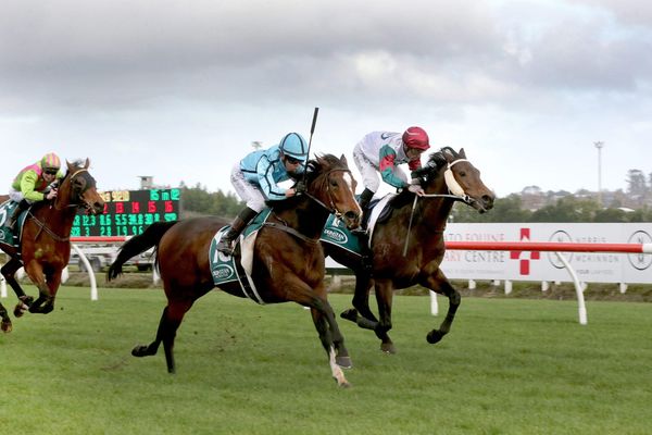 Petite mare Rose Crescent tall on performance