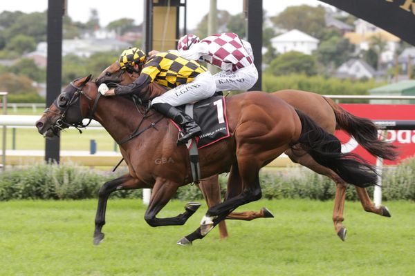 Sword Of State’s service fee released