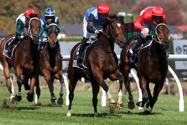 Tevere back to her best at favourite venue