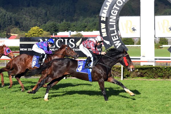 Trip south on the cards for Times Ticking