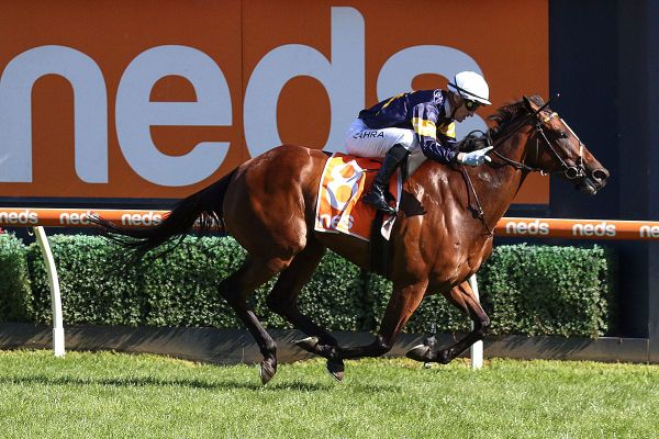 Memsie target for Tofane