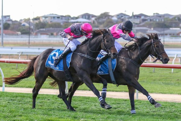 Kiwi-bred wins Brierly Steeplechase