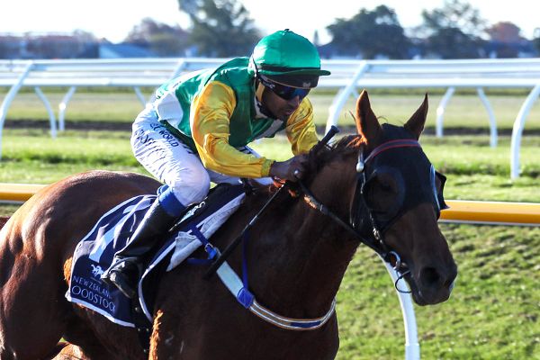 Fursdon holding Virtuoso Lad to high standards again