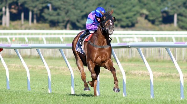 Amusez Moi entertains with feature race victory