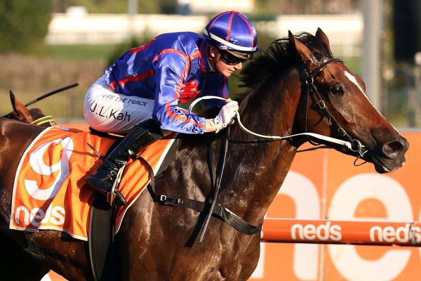 Ayrton ready to fire in Stradbroke