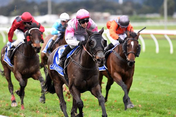 Chase displays his love for Trentham with emphatic victory