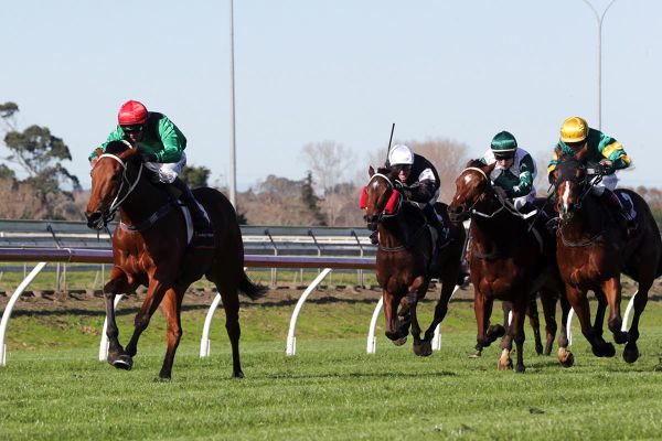 Crazy In Love scores on debut